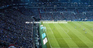 【开云APP】牌面十足！郑智邵佳一领衔前国脚阵容亮相A级教练培训